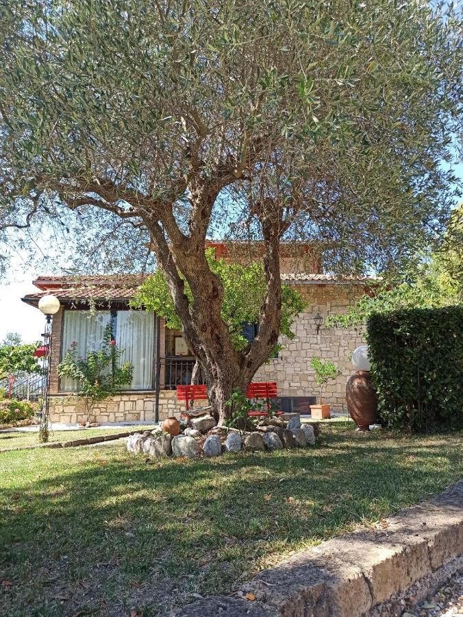 B&B Villa Garden Saturnia Dış mekan fotoğraf